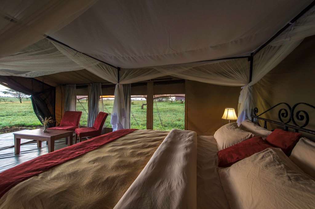Karibu Camps And Lodges Sametu Camp Serengeti Robanda Rom bilde